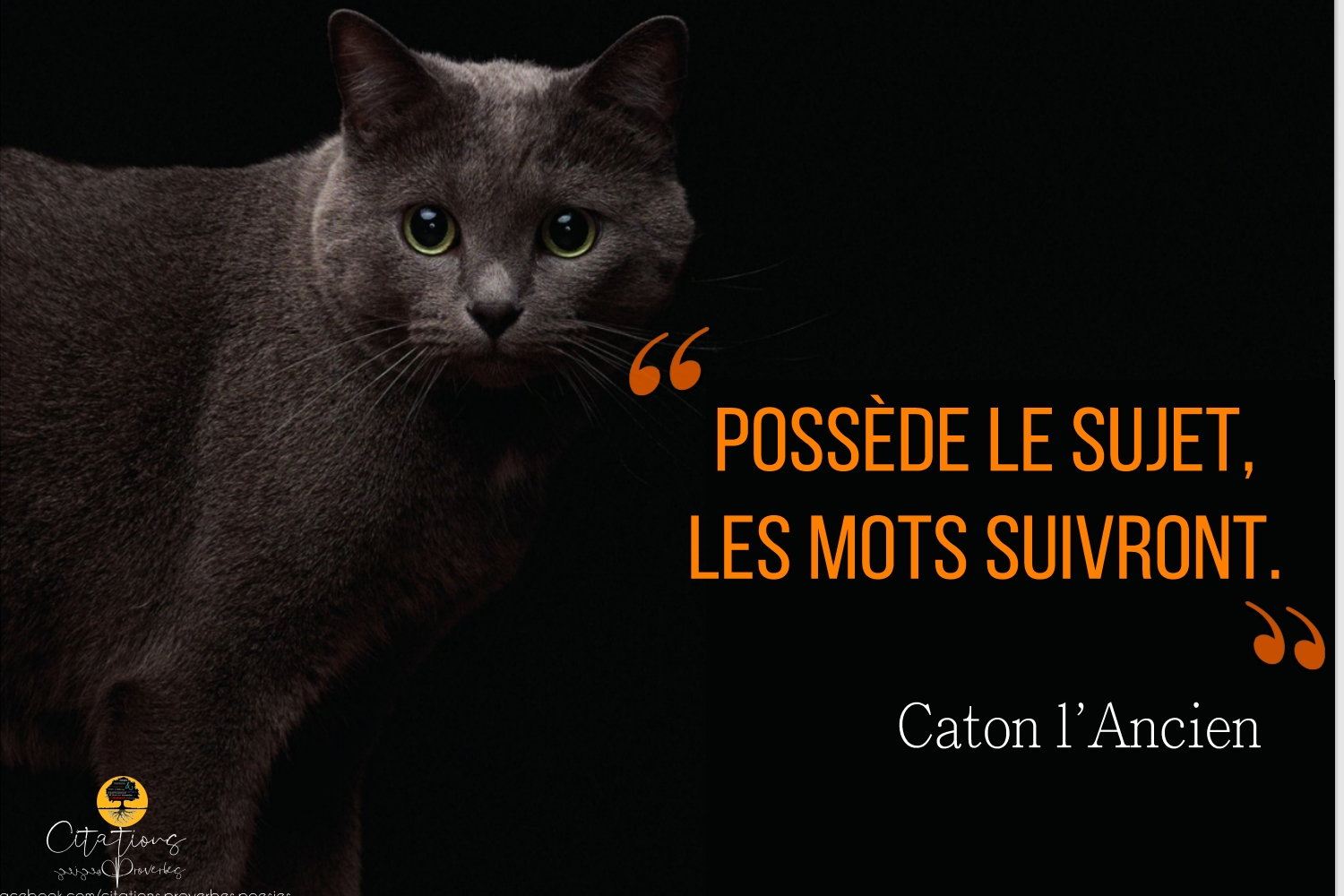 Top 10 Citations Sur L Art De Parler Citations Proverbes Et Poesies