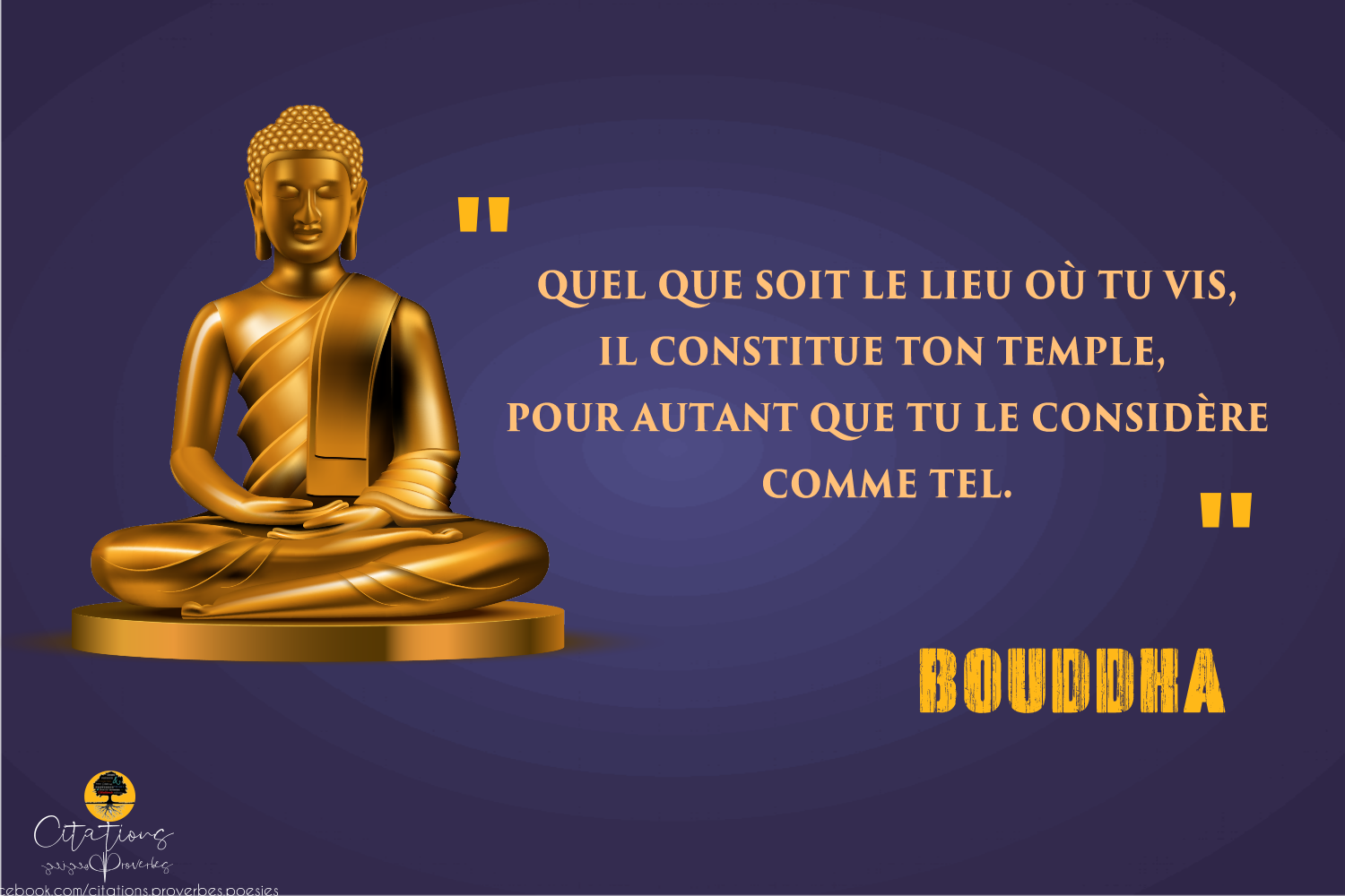 Meditations De Bouddha Citations Proverbes Et Poesies