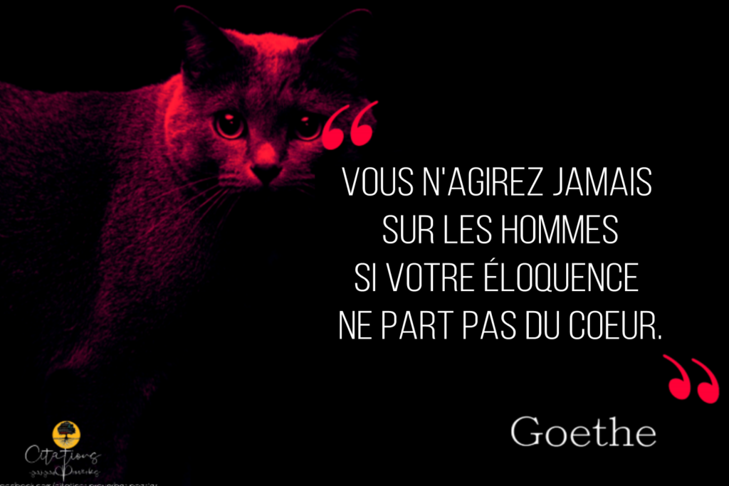 TOP 10 CITATIONS SUR L'ART DE PARLER Citations Proverbes et Poésies