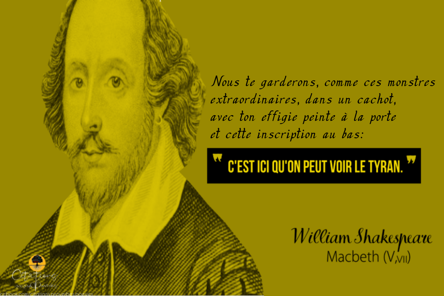 Top 5 Citations De Shakespeare Sur La Tyrannie Citations Proverbes Et Poesies