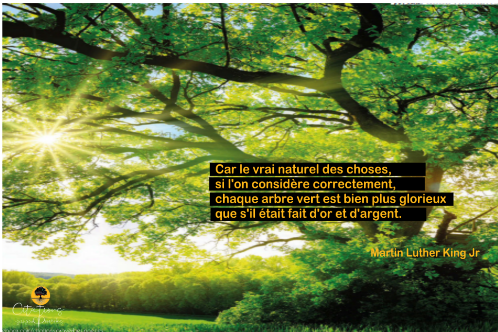 Citation Arbre Bonheur