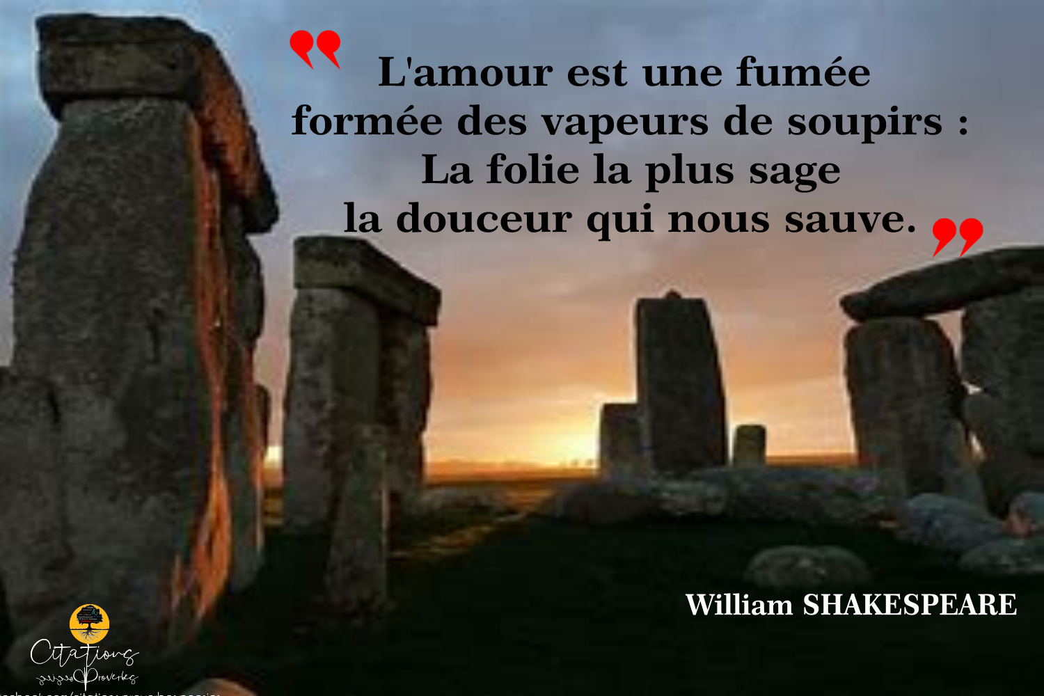 Top 10 Citations De William Shakespeare Citations Proverbes Et Poesies