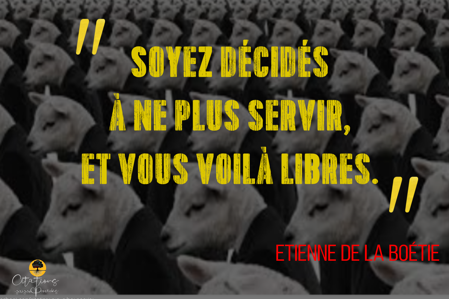 Top 05 Citations La Servitude Volontaire Etienne De La Boetie Citations Proverbes Et Poesies