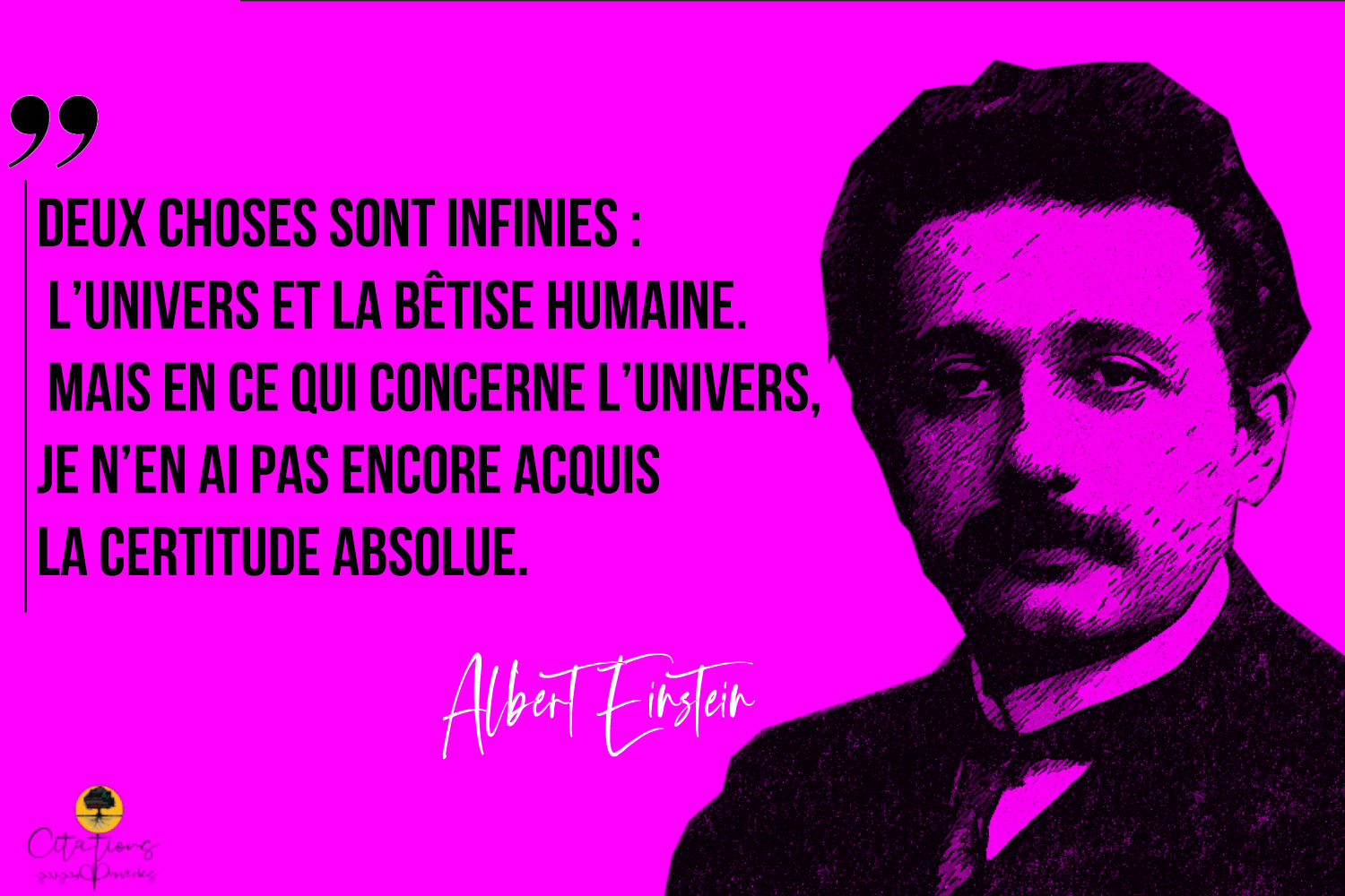 Deux Choses Sont Infinies : L’Univers Et La Bêtise Humaine. - Citations ...