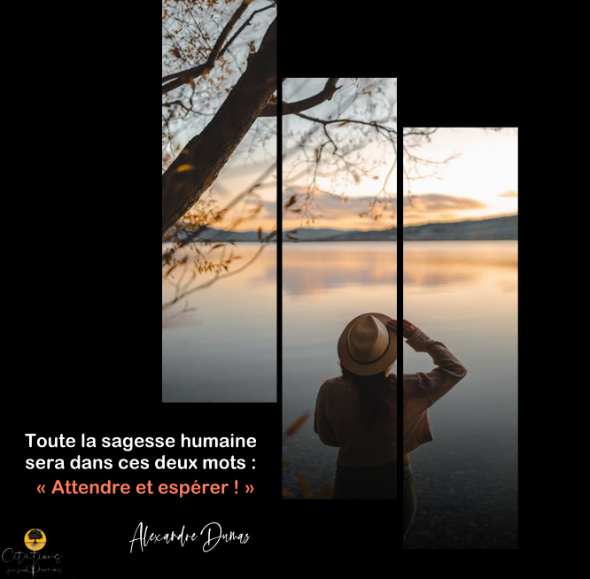 Toute la sagesse humaine sera dans ces deux mots « Attendre et espérer ! » Citations